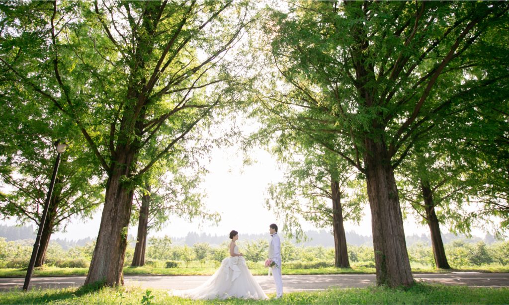 滋賀フォトウェディング
滋賀ロケーションフォト